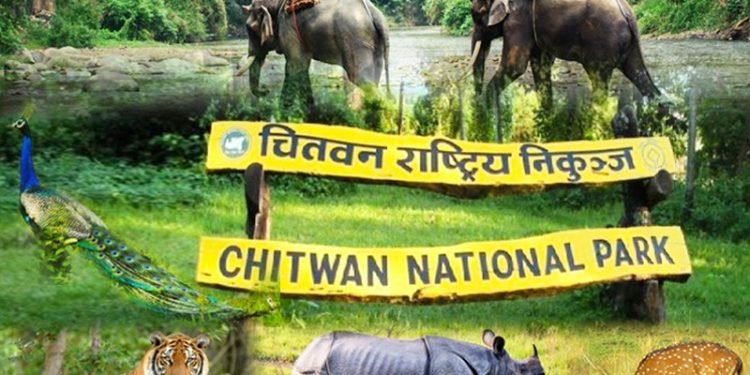 निकुञ्जको सुरक्षा व्यवस्था थप चुस्त बनाउन निर्देशन