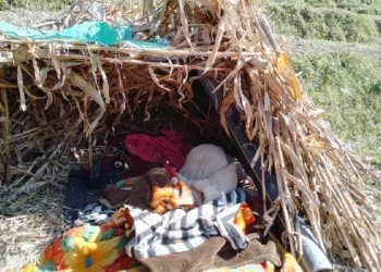 जाजरकोटमा पालमा बस्दै आएकी बालिकाको चिसोले कठ्याङ्ग्रिएर मृत्यु