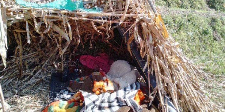 जाजरकोटमा पालमा बस्दै आएकी बालिकाको चिसोले कठ्याङ्ग्रिएर मृत्यु