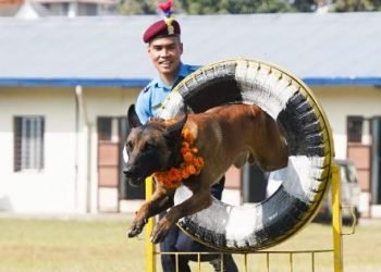 कुकुर तिहारः नेपाल प्रहरीको कुकुरको कला (फोटोफिचर)