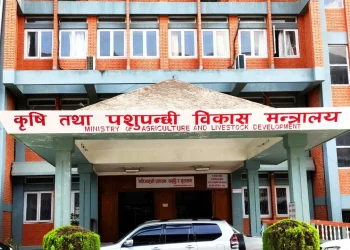 भूकम्प प्रभावित क्षेत्रमा पशुपक्षीको उपचारका लागि कृषि मन्त्रालयले खटायो विशेषज्ञ टोली