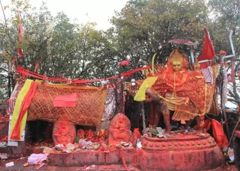 पाथीभरामा बलिको विकल्प नरिवल !