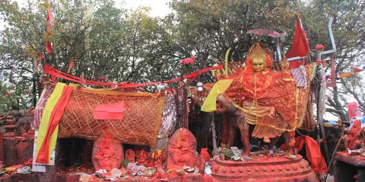 पाथीभरामा बलिको विकल्प नरिवल !