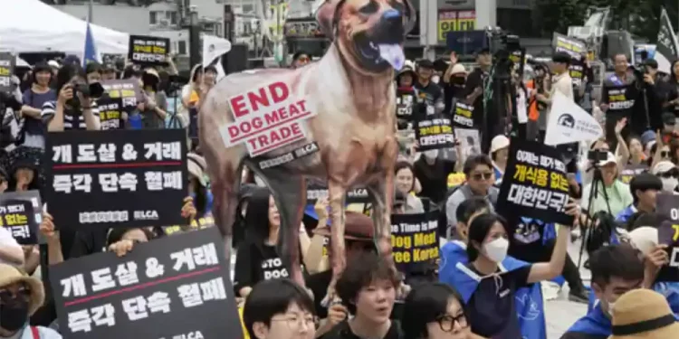 दक्षिण कोरियामा कुकुरको मासु खान प्रतिबन्ध लगाउने कानुन बनाइदै