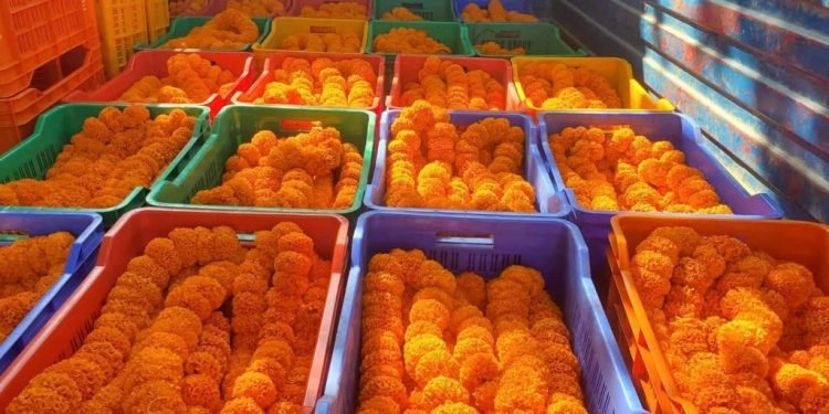 तिहारमा फूलको कारोबार कम भएपछि व्यवसायी चिन्तित