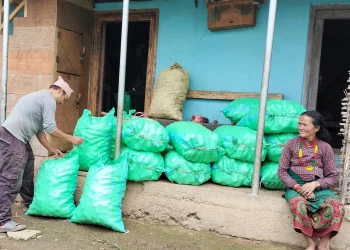 कृषिमा आत्मनिर्भर बन्दै बैतेश्वर यवोका स्थानीय