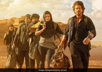 शाहरूखको सबैभन्दा कम बजेटको फिल्म डंकी