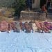 ‘आफन्त गुमाएको पीडा’ले ‘भूकम्पपीडित’लाई पिरोलिरहेछ