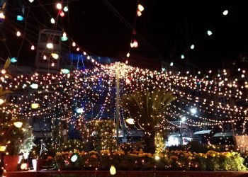 तिहारमा पैँतालिस करोडको झिलिमिली बत्ती आयात