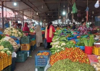 पूर्वी नाकाबाट निर्यातभन्दा पाँच गुणा बढी तरकारी आयात