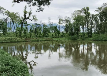 पर्यटन प्रवर्द्धनार्थ जङ्गलमा ताल निर्माण सुरु