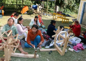 महिलाको आम्दानीको स्रोत बन्दै ‘अल्लो’