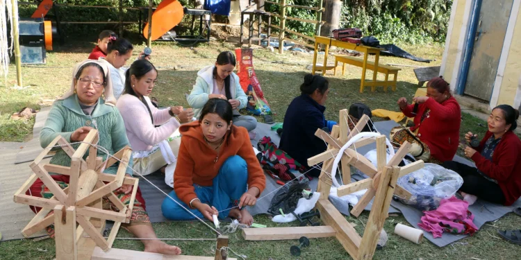 महिलाको आम्दानीको स्रोत बन्दै ‘अल्लो’