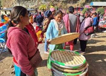 बिक्री हुन छाडे चोयाका सामग्री