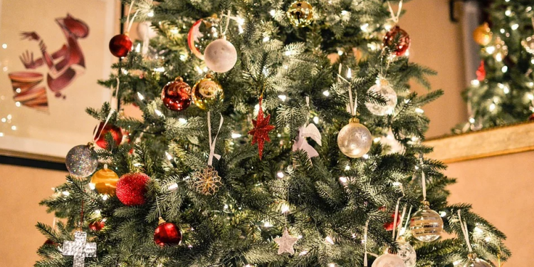 काठमाडौं महानगरभित्र प्लास्टिकका क्रिसमस-ट्री राख्न निषेध