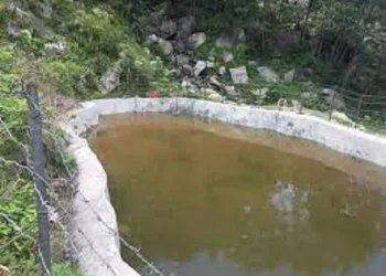वन्यजन्तुले बाली मासेपछि विकल्पमा माछा पोखरी