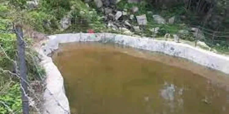 वन्यजन्तुले बाली मासेपछि विकल्पमा माछा पोखरी