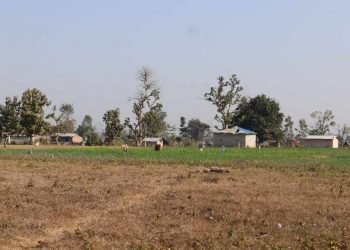 माटोको मायाले सीमामा सङ्घर्ष गर्दै बडुवालवासी