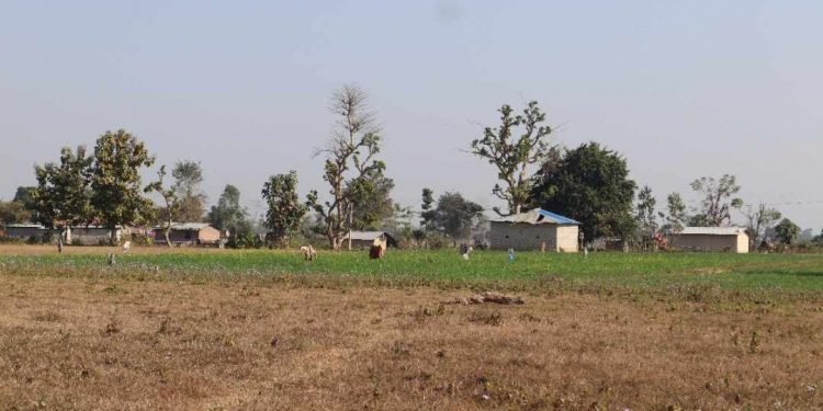 माटोको मायाले सीमामा सङ्घर्ष गर्दै बडुवालवासी