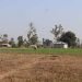 माटोको मायाले सीमामा सङ्घर्ष गर्दै बडुवालवासी