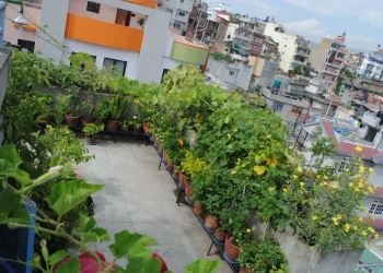 कौसीखेतीबाट मनग्य आम्दानी गर्दै प्रेमराज