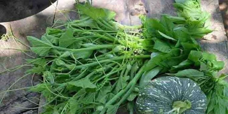 फर्सीको मुन्टा एक, फाइदा अनेक
