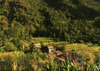 बसाइँसराइले रित्तिदै गाउँ, बढ्यो बाँदर आतङ्क