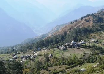 घरेलु मदिरा उत्पादन नहुने ‘गाजने’ गाउँ