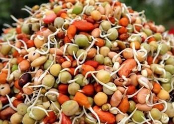सन्तुलित स्वास्थ्यका लागि सन्तुलित मात्रामा गेडागुडीको सेवन