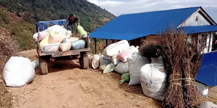 चिराइतोको मूल्य बढेपछि भोजपुरका किसान उत्साहित