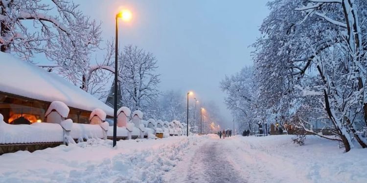 भारी हिमपातका कारण हङ्गेरीमा जनजीवन प्रभावित