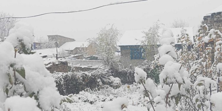 हुम्लामा बाक्लो हिमपात,चिसोको कारण जनजीवन कष्टकर