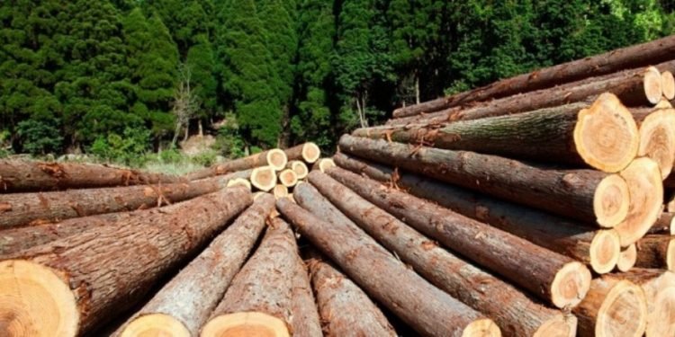 काष्ठ व्यवसाय धराशायी बन्दै गएको व्यवसायीको गुनासो