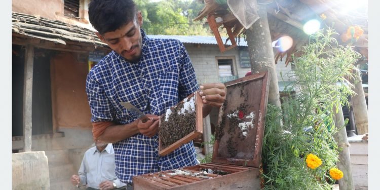 मौरीपालनबाट वार्षिक सात लाख आम्दानी गर्दै तोगीका युवा