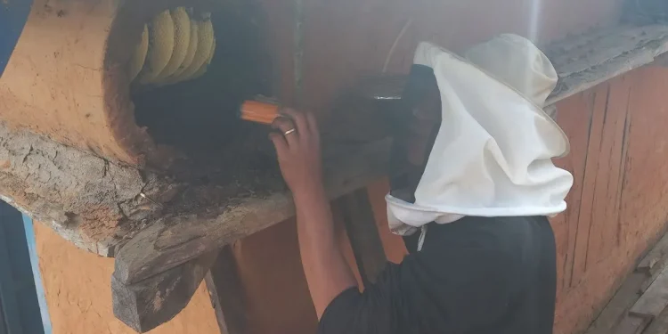 परम्परागत घारमै मौरी पालेर मनग्य आम्दानी गर्दै दिनेश