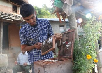 मौरीपालनबाट वार्षिक सात लाख आम्दानी गर्दै तोगीका युवा