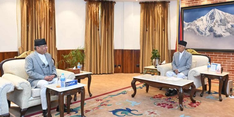 शितलनिवास पुगेर प्रधानमन्त्रीले भेटे राष्ट्रपतिलाई