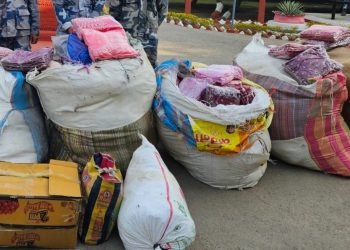 सुर्खेतमा लगातार अवैध सामाग्रीहरू भित्रिँदै