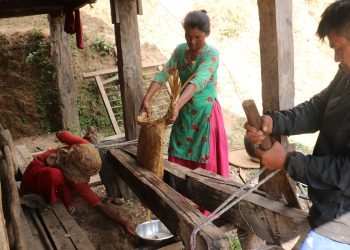 चिउरीबाट घ्यू उत्पादन गर्दै चेपाङ समुदाय