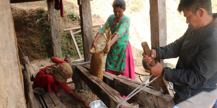 चिउरीबाट घ्यू उत्पादन गर्दै चेपाङ समुदाय