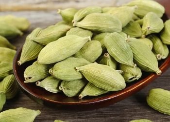 सुख्खा बन्दरगाह भन्सारबाट ११ कार्टुन सुकमेल चोरी