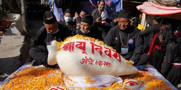 नेवार समुदायले आज यःमरी पुन्हि मनाउँदै