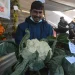 गोरखामा फल्यो ९ किलोको एउटै काउली