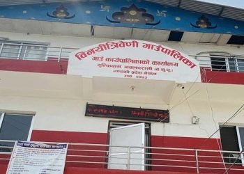 ‘घरघरमा सिंहदरवार भन्थे, नागरिकता बनाउन ८० किलोमिटर टाढा जानुपर्छ’