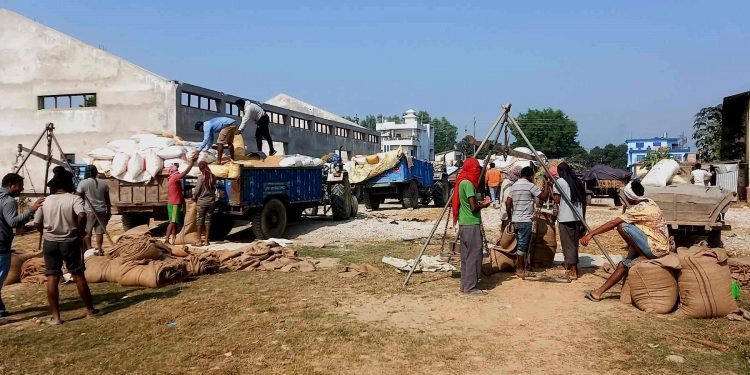 सुदूरपश्चिमबाट लक्ष्यअनुसार धान खरिद गर्न सरकार असफल