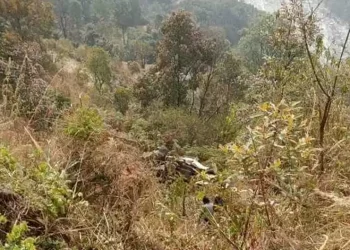 सिन्धुपाल्चोकमा कार दुर्घटनाः दुई भुटानी नागरिकको मृत्यु