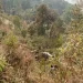 सिन्धुपाल्चोकमा कार दुर्घटनाः दुई भुटानी नागरिकको मृत्यु