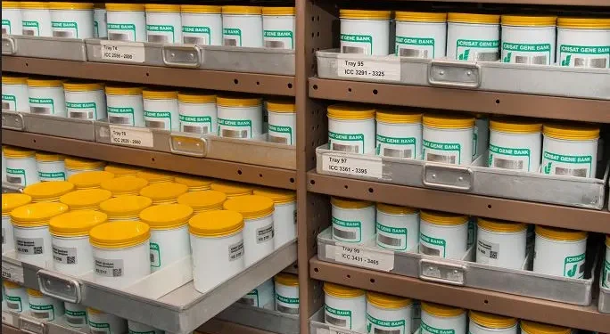 कोहलपुरमा सामुदायिक जीन बैंक स्थापना