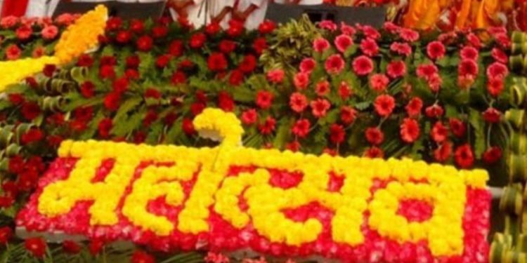 सौराहामा दक्षिण एसियाली चलचित्र महोत्सव पाँच दिनसम्म सञ्चालन हुने