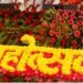 सौराहामा दक्षिण एसियाली चलचित्र महोत्सव पाँच दिनसम्म सञ्चालन हुने